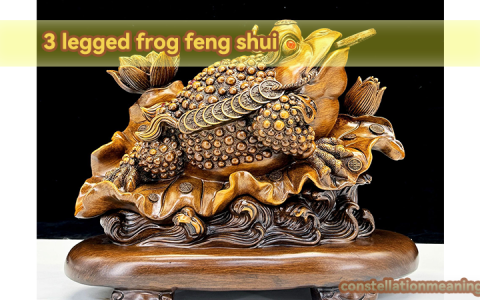 three-legged toad feng shui placement