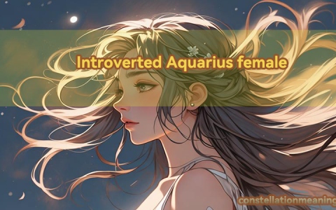 Introverted Aquarius female