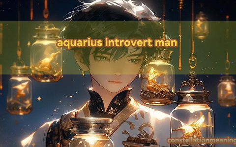 aquarius introvert man