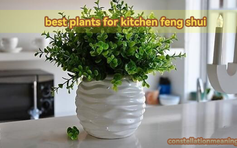 best plants for kitchen feng shui