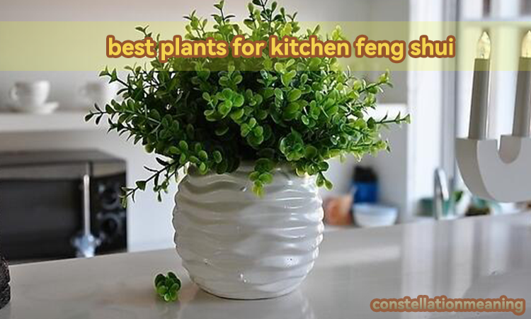 best plants for kitchen feng shui