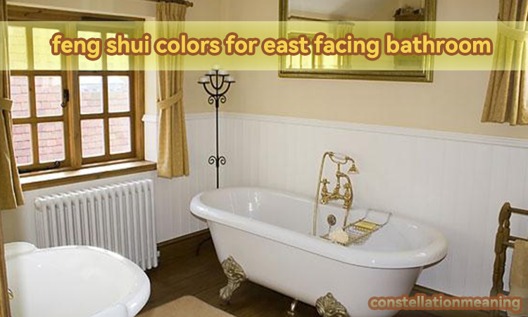 feng shui colors for east facing bathroom