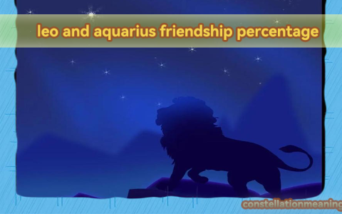 leo and aquarius friendship percentage