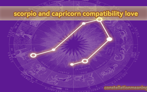 scorpio and capricorn compatibility love