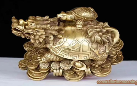 feng shui tortoise（feng shui tortoise direction in home）