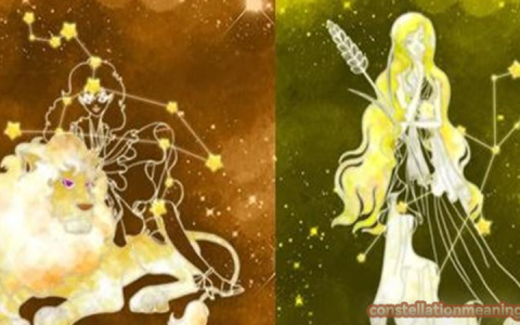 virgo sun leo moon（virgo sun leo moon best match）
